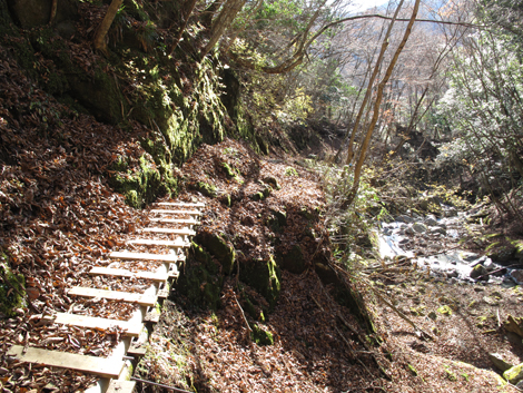 20161206hike (419)